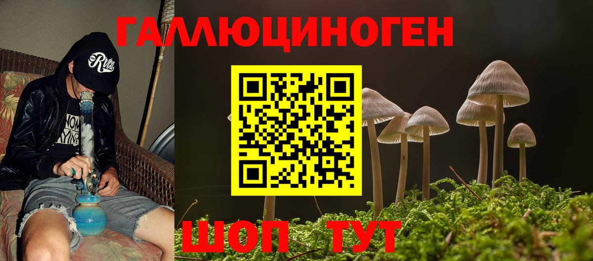 Псилоцибиновые грибы Psilocybe  Вход с VPN  Псилоцибиновые грибы ЛСД  Нурлат 